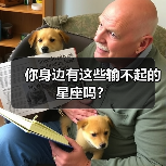 你身边有这些输不起的星座吗?(图4) 你身边有这些输不起的星座吗?(图4)