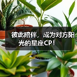 彼此陪伴,成为对方阳光的星座CP!(图1) 彼此陪伴,成为对方阳光的星座CP!(图1)