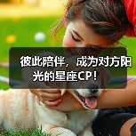 彼此陪伴,成为对方阳光的星座CP!(图3) 彼此陪伴,成为对方阳光的星座CP!(图3)