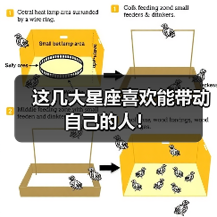 这几大星座喜欢能带动自己的人!(图3) 这几大星座喜欢能带动自己的人!(图3)