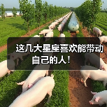 这几大星座喜欢能带动自己的人!(图4) 这几大星座喜欢能带动自己的人!(图4)