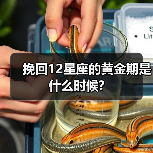 挽回12星座的黄金期是什么时候?（图1）