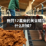 挽回12星座的黄金期是什么时候?（图3）