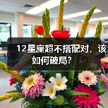 12星座超不搭配对，该如何破局？（图2）
