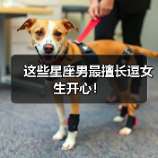 这些星座男最擅长逗女生开心!(图1) 这些星座男最擅长逗女生开心!(图1)