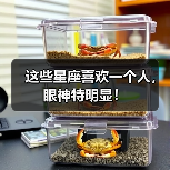 这些星座喜欢一个人,眼神特明显!(图4) 这些星座喜欢一个人,眼神特明显!(图4)