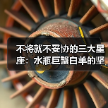 不将就不妥协的三大星座:水瓶巨蟹白羊的坚持之道(图3) 不将就不妥协的三大星座:水瓶巨蟹白羊的坚持之道(图3)