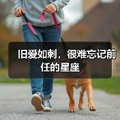 旧爱如刺,很难忘记前任的星座(图3) 旧爱如刺,很难忘记前任的星座(图3)