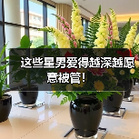 这些星男爱得越深越愿意被管！（图3）
