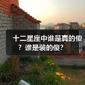 十二星座中谁是真的傻?谁是装的傻?(图3) 十二星座中谁是真的傻?谁是装的傻?(图3)