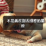 不是善茬别去招惹的星座(图2) 不是善茬别去招惹的星座(图2)