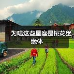 为啥这些星座是桃花绝缘体