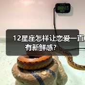 12星座怎样让恋爱一直有新鲜感？（图3）