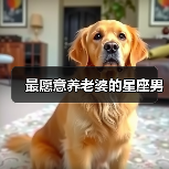 最愿意养老婆的星座男