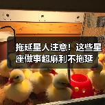 拖延星人注意！这些星座做事超麻利不拖延