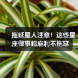 拖延星人注意！这些星座做事超麻利不拖延（图3）