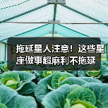 拖延星人注意！这些星座做事超麻利不拖延（图4）