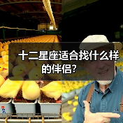十二星座适合找什么样的伴侣？（图3）