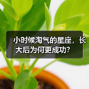 小时候淘气的星座,长大后为何更成功?(图2) 小时候淘气的星座,长大后为何更成功?(图2)