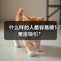 什么样的人最容易被12星座吸引？（图3）