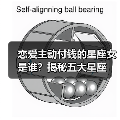 恋爱主动付钱的星座女是谁?揭秘五大星座(图4) 恋爱主动付钱的星座女是谁?揭秘五大星座(图4)