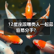 12星座跟哪类人一起最容易分手？（图2）