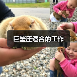 巨蟹座适合的工作(图2) 巨蟹座适合的工作(图2)