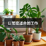 巨蟹座适合的工作