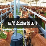 巨蟹座适合的工作(图4) 巨蟹座适合的工作(图4)