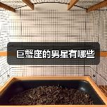 巨蟹座的男星有哪些(图4) 巨蟹座的男星有哪些(图4)
