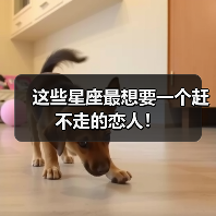 这些星座最想要一个赶不走的恋人!(图1) 这些星座最想要一个赶不走的恋人!(图1)