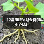 12星座暧昧期会有哪些小心机？