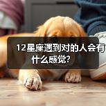 12星座遇到对的人会有什么感觉？