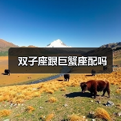 双子座跟巨蟹座配吗