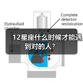 12星座什么时候才能遇到对的人？（图1）