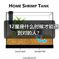 12星座什么时候才能遇到对的人？（图2）