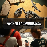 天平座和巨蟹座配吗(图4) 天平座和巨蟹座配吗(图4)