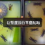 巨蟹座跟白羊座配吗(图2) 巨蟹座跟白羊座配吗(图2)