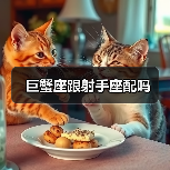 巨蟹座跟射手座配吗