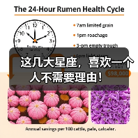 这几大星座,喜欢一个人不需要理由!(图4) 这几大星座,喜欢一个人不需要理由!(图4)