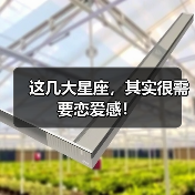 这几大星座,其实很需要恋爱感!(图2) 这几大星座,其实很需要恋爱感!(图2)