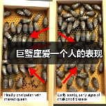 巨蟹座爱一个人的表现(图1) 巨蟹座爱一个人的表现(图1)