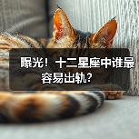 曝光！十二星座中谁最容易出轨？