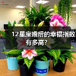 12星座婚后的幸福指数有多高？（图2）