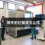 属羊的巨蟹座怎么样(图4) 属羊的巨蟹座怎么样(图4)