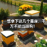 想拿下这几个星座,千万不能当舔狗!(图4) 想拿下这几个星座,千万不能当舔狗!(图4)