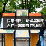 快来组队！这些星座组合在一起能互旺财运！