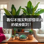 看似不搭实则超懂彼此的星座配对!(图3) 看似不搭实则超懂彼此的星座配对!(图3)