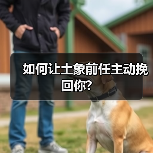 如何让土象前任主动挽回你?（图4）