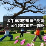 金牛座和摩羯座合财吗?金牛和双鱼在一起财运如何?(图2) 金牛座和摩羯座合财吗?金牛和双鱼在一起财运如何?(图2)